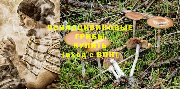 спиды Инсар