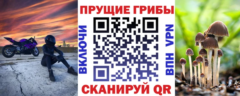 Галлюциногенные грибы мицелий  как найти закладки  OMG ССЫЛКА  Ревда 